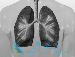 ӡ�����޿�