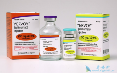 ���ŵ���İ�֢�����Ʒ�CTLA-4��ʲô��