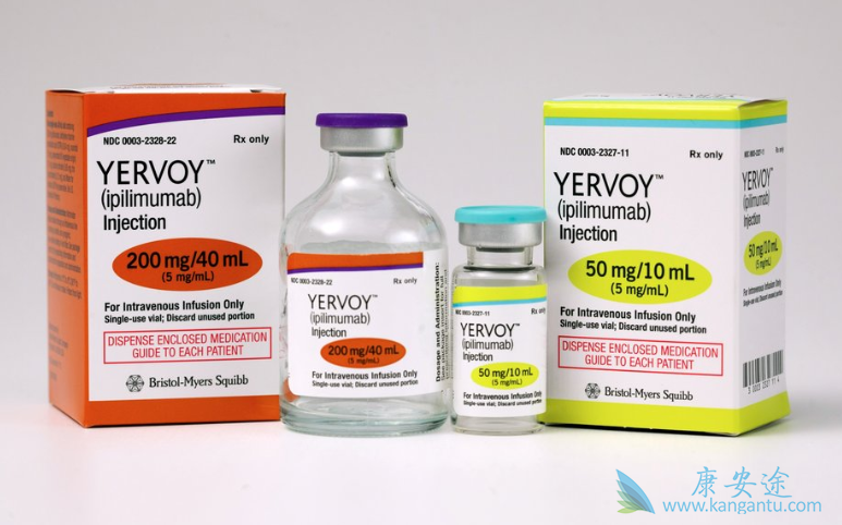 癌症免疫疗法 癌症免疫疗法