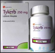 ���͵İ���ҩ����������(Lapatinib)�������ٰ���Ч�����