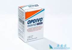 ��������������������Ƶ�����Ч����