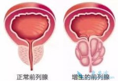 �̵��г��ϳ�����ǰ���ٰ�����ҩ��