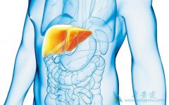 Ŀǰ�����еĸΰ�����ҩ�ﶼ����Щ��Ч����Σ�