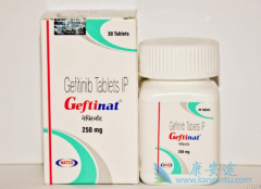 ��EGFR-TKIΪ�����İ�������ҩ��ı����ҹ��ΰ��������Ƶľ���