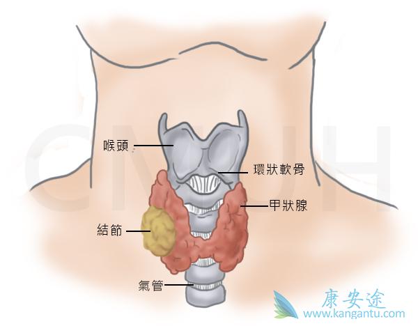��״������֢״