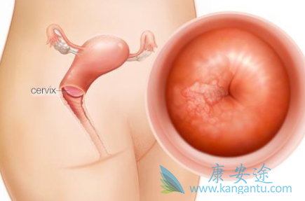 ������֢״