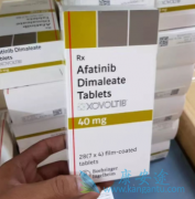 ��������(AFATINIB)������Ƥ�ʼ��ؿ����ư���ҩ���µļ����Է���