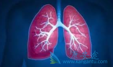 小细胞肺癌 小细胞肺癌