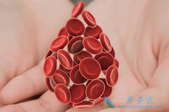 白血病治疗 白血病治疗