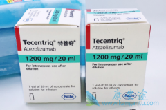 PD-1ҩ��Tҩ����ʱ�������Щ���ص�θ��������