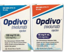 ���䵥��(Opdivo)���˶����������ڷΰ������¸����������ڷΰ�