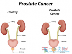 ǰ���ٰ��ڷ�������Ч����غͪˮƽ�Ĺ�ϵ