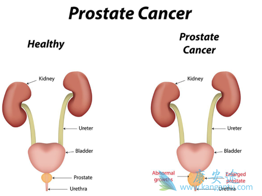 ǰ���ٰ��ڷ�������