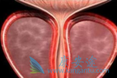 Ů��Ӧ���˽��ǰ���ٳ�ʶ֮ǰ��������