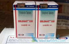 ���޿�(ERLOTINIB)���ϱ����������������ڷΰ����߻������ڳ�������