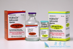 CTLA-4��Ŀǰ���ŵ����߼������Ƽ��е�֮һ  