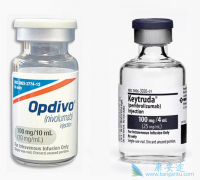 ���Ӧ�Դ�������������صĲ�����Ӧ