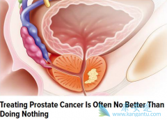 غͪ��ǰ���ٰ�ϸ����ֳ������������