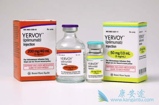 CTLA-4抗体 CTLA-4抗体