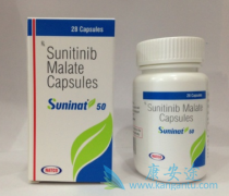 ������Щ��֢���Է�����������(SUNITINIB)