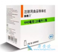 ���ٰ�ҩ�����͡(trastuzumab)�Ĺ���ԭ����ʲô