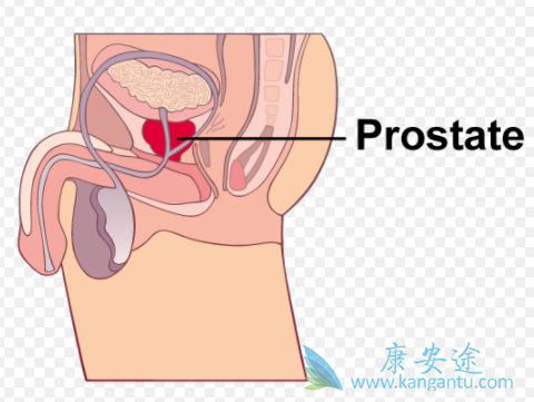 卡博替尼 卡博替尼