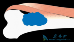 ���ܵ�ŵ����(SGEVA)���ƵĻ��߷���ԭ���Զ��������ļ��ʸ���