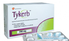 ��������(TYKERB)��ҩ���ڳ���Ƥ���Ǹ���Ԥ��