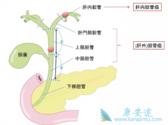 ����������ת����ʲôҩ��ȽϺã�