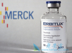 ӡ�Ȱ����׼۸�ȹ��ڵİ汾����һ������