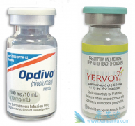 ��֢�����Ʒ�CTLA-4���Ƽ������������ٰ�������