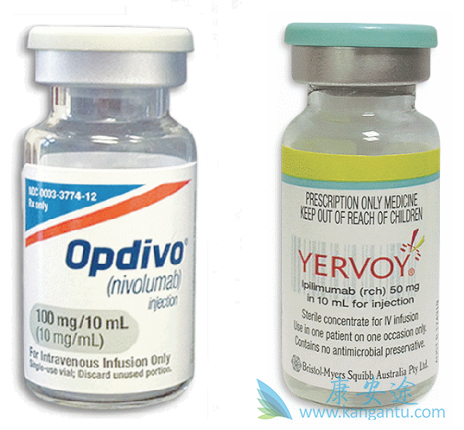 CTLA-4抑制剂 CTLA-4抑制剂