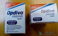 ���䵥����nivolumab�����淽����ʹ��ע������