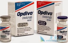 ���䵥��(opdivo)����������ķ��ɸ��ƺ�ɫ������ת�ƻ��߲���