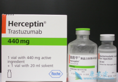 �����鵥������HER-2�������ٰ���ת�ƻ��ߵ�Ч����ô��