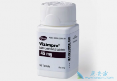 ������ᣨDacomitinib������һ��������Щ���͵ķ�Сϸ���ΰ�