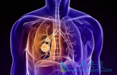 �й��ΰ�������̩��ɯ(Osimertinib)����ҩ����