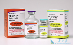 CTLA-4����Yervoy��PD-1����ҩ��Oҩ������ҩ������Ч��