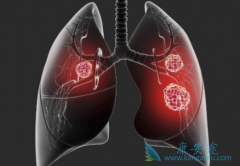 ��ɳ����(X-396)��ALK���Էΰ����ߵļ��������ʴﵽ��81.7%