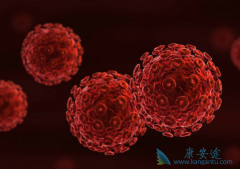 ����ŵ��(Zolinza)�ڶ���ʵ������ѪҺ�����а�ȫ��Ч