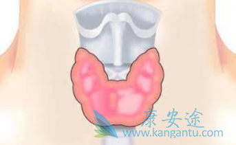 甲状腺癌 甲状腺癌
