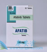 �ΰ�ҩ�ﲼ��������PFS�ȶ����������ڿ�������