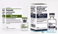 ���ʹ�ÿ�PD-1�����Ʒ�������Ƥ��������Ӧ����δ���