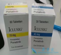 ����������(ICLUSIG)����һ��������ʵ�ָ���ķ��ӻ���