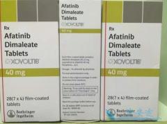 ��������(xovoltib)���˾���������ʧ�ܺ��ERBB2���Է�Сϸ���ΰ�