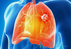 ���ᰲ���������Ʒ�Сϸ���ΰ�Ч����ô��