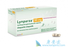 PARP���Ƽ����������������ѳ������ذ�����ҩ��