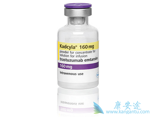 HER-2�����������ٰ�