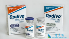Opdivo��nivolumab�����׸��������е�PD1���Ƽ�