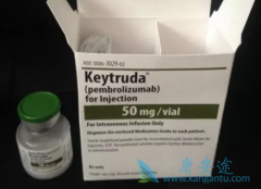 PD-1���Ƽ���ķ���������Ĭ����ϸ�������ߵ�������